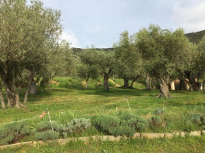 Le Camping de Cucugnan